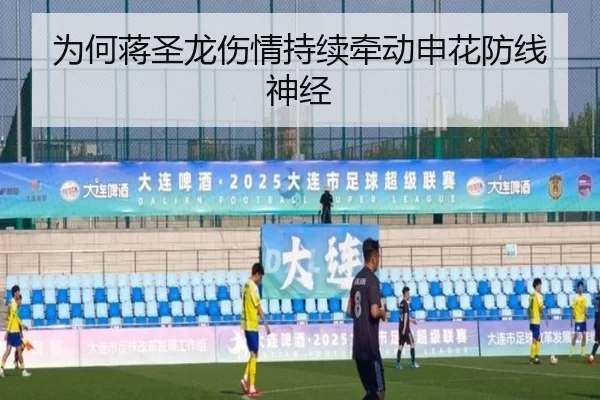 为何蒋圣龙伤情持续牵动申花防线神经